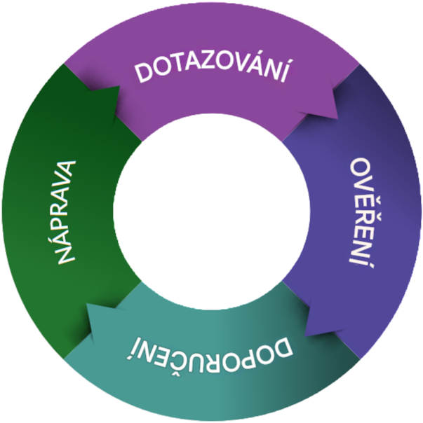 SAQ Questionnaire structure